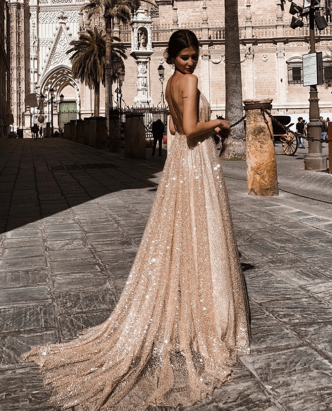 Sexy Evening Gown